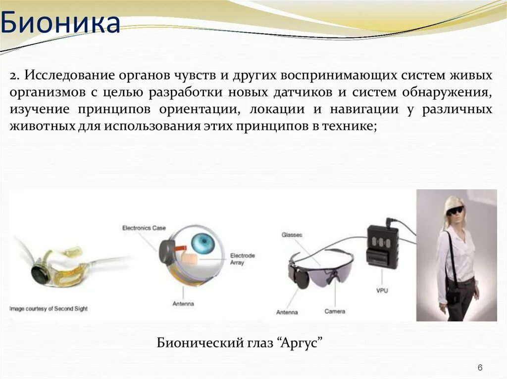 Сообщение на тему бионика. Бионика. бионика наука. бионика примеры. бионические изобретения.