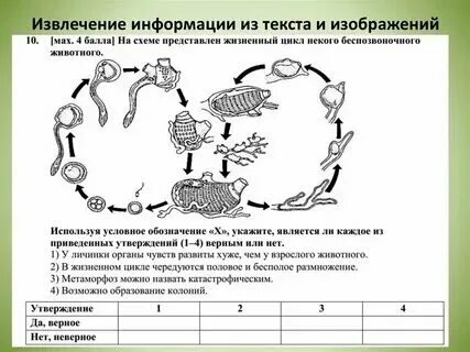 Нахождение и извлечение информации из текста примеры