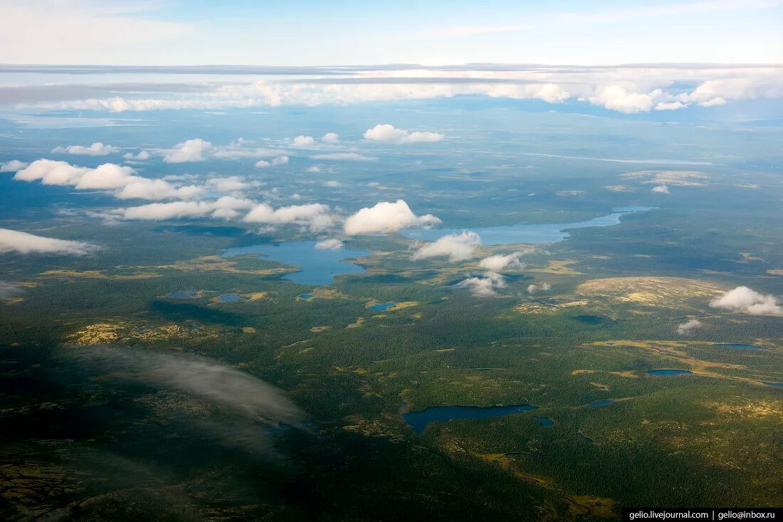 зелёное море тайги. море тайги под крылом самолета. море тайги под крылом самолета. самолет над зеленое море тайги. море тайги под крылом самолета.