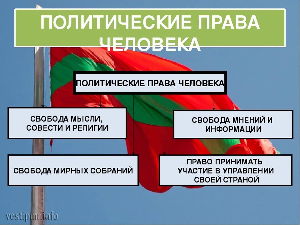 Каково значение политических прав для общественной жизни. Политические обязанности.