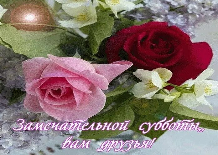 Открытка с добрым утром удачного дня. Хорошей субботы и отличного настроения. Прекрасного субботнего утра и хорошего. Красивое фото субботы. Открытки прекрасного дня и отличного настроения.