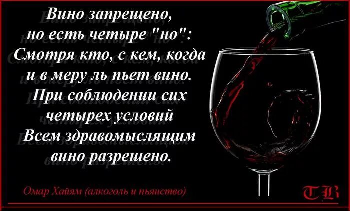 Фразы о вине. Стихи про вино. Стихи ОМАРХАЙАМА О вине. Цитаты о вине. Афоризмы про вино.