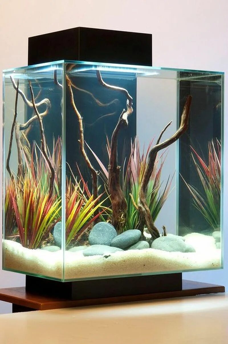 Аквариум jebo r470. Аквариум биодизайн 150 литров. Красивые аквариумы. Травники ивагуми. Аквариум биодизайн диарама 200.