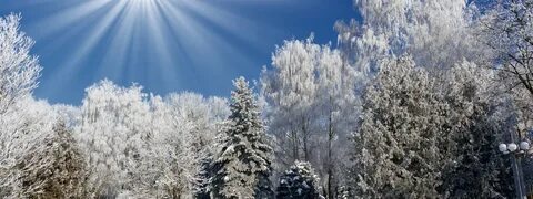 Вивальди зима