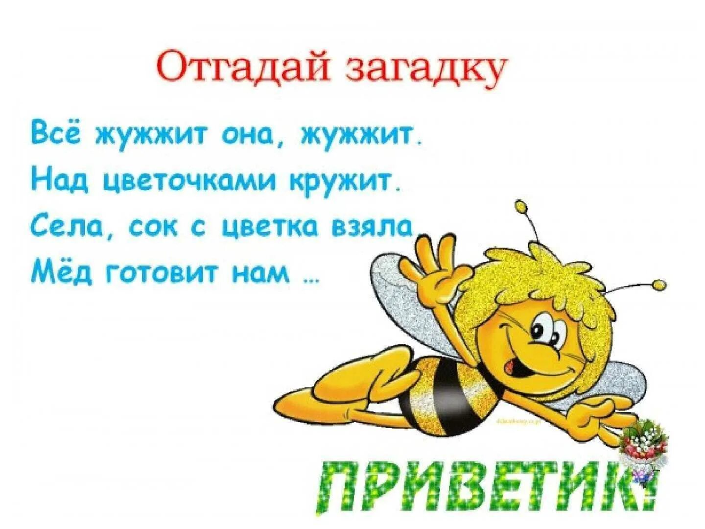 Сильное жужжание. Загадка про пчелу. Загадка про пчелу для детей. Стих про пчелу. Детские загадки про пчел.