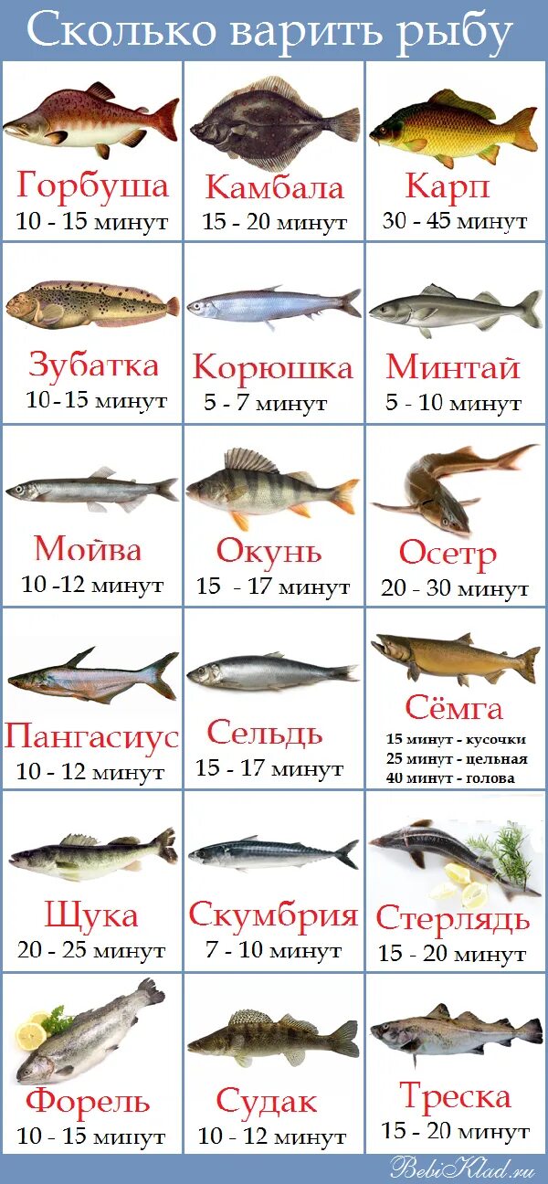 Сколько варится семга. Сколько варить рыбу. сколько времени варить рыбу. список рыб для детей. самая полезная рыба для детей.