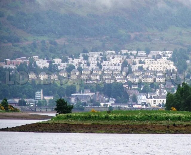 Bad town. Gasthaus. игра badfox. Bad town final fox muffler. Bad town.