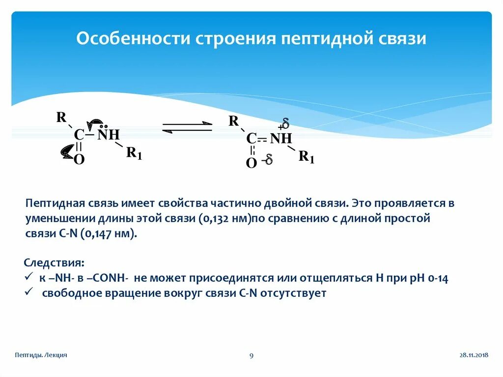 Образование пептидной связи происходит в. Охарактеризуйте кратко свойства пептидной связи. Структура пептидной связи. Уравнение реакции образования пептидной связи. Особенности строения пептидов.