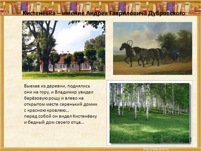 старый обширный тянувшийся позади дома сад