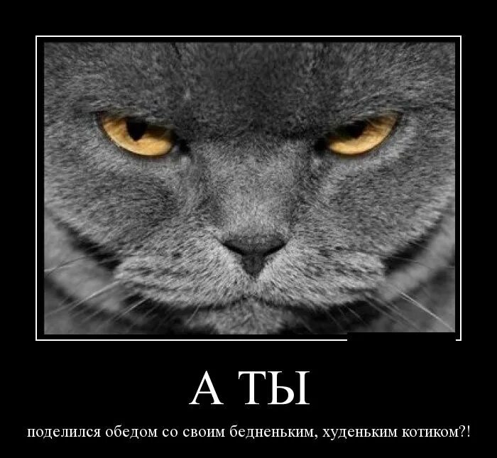 Не вернусь не дождусь