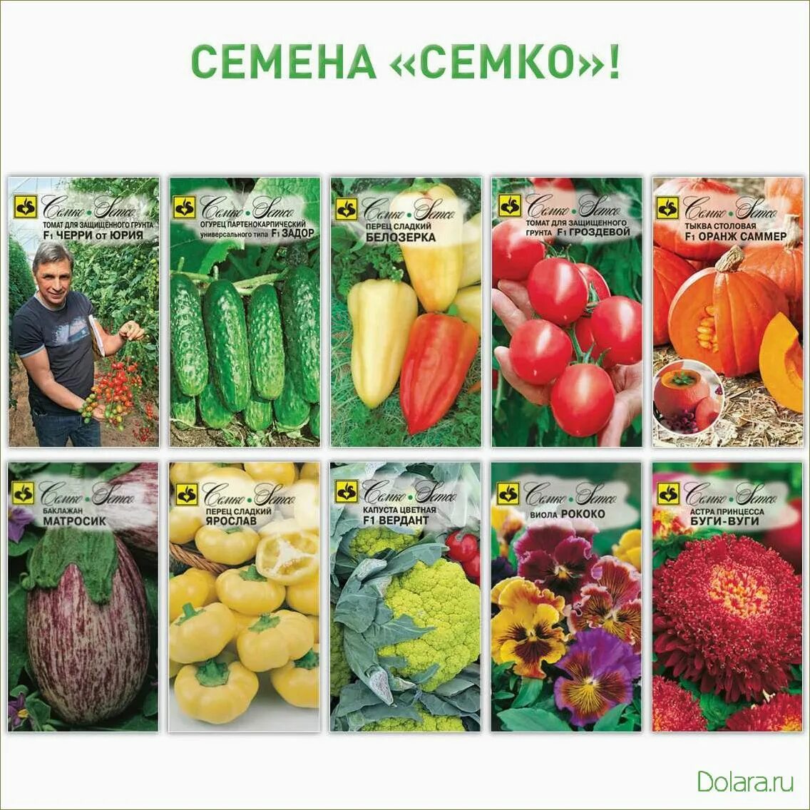 Семко-Юниор семена. Семена томат Агрофирма Семко. Семена фирмы партнёр каталог 2022г. Семко Юниор каталог семян.