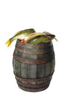 Рыба бочка