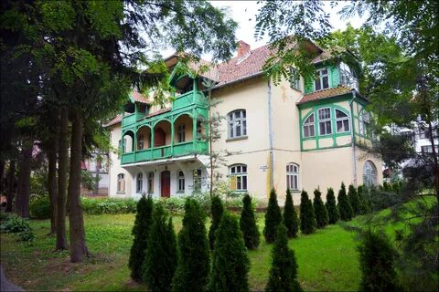 Цветы светлогорск калининградская область