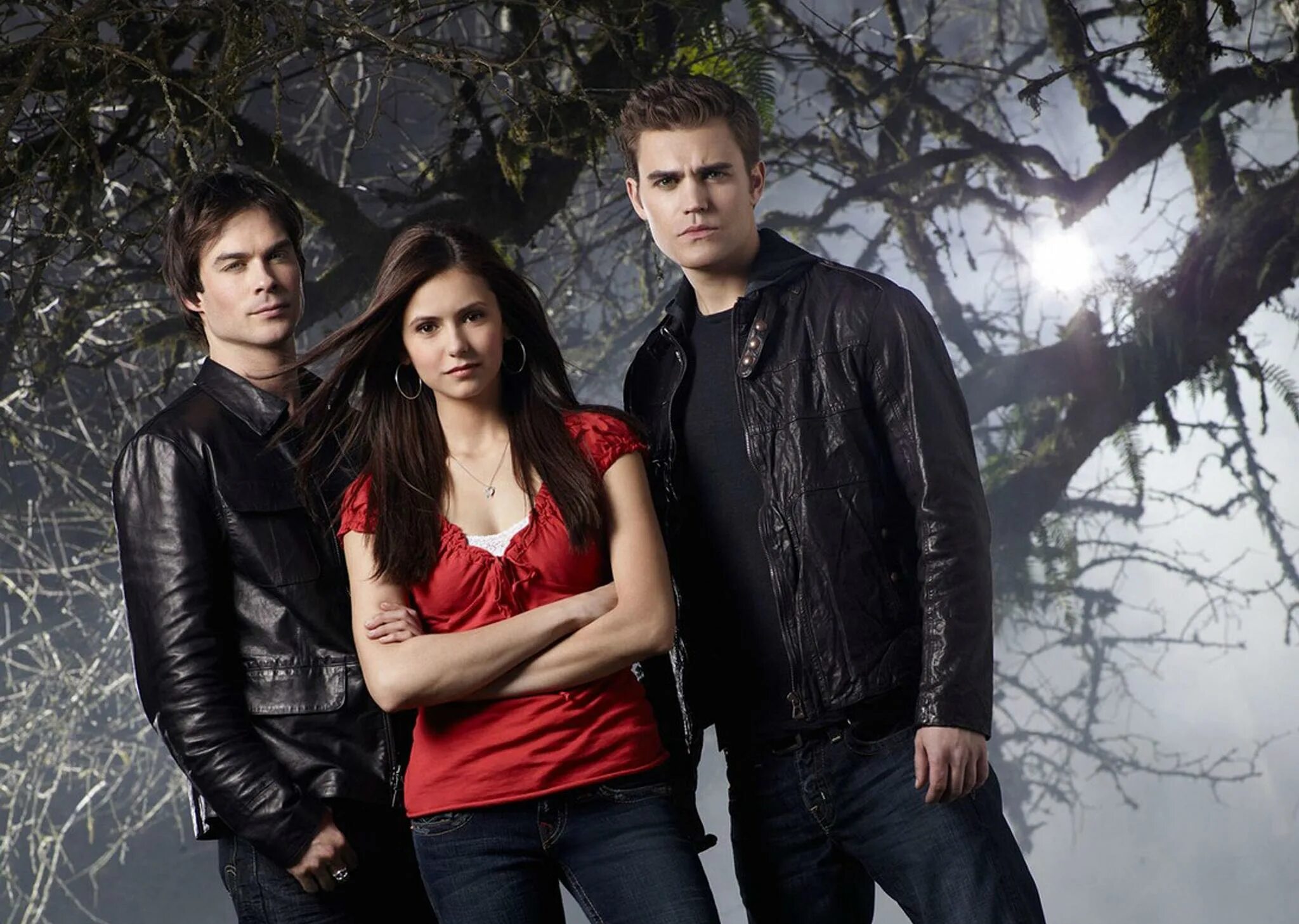 The vampire diaries in english