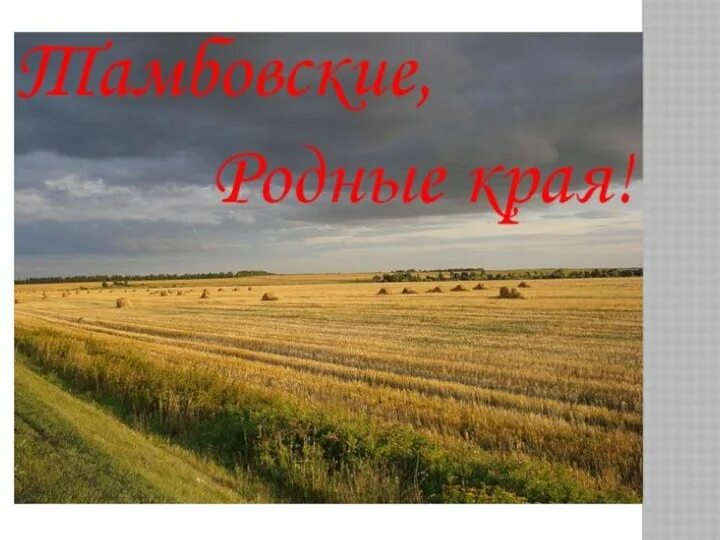 Край тамбовский край родной. Сообщение на тему наш край. Стихи о тамбовском крае. Чем богат тамбовский край. Край мой тамбовский.