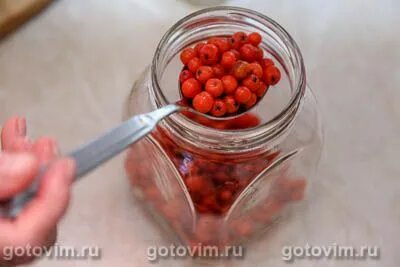 Заготовки из рябины красной на зиму рецепты