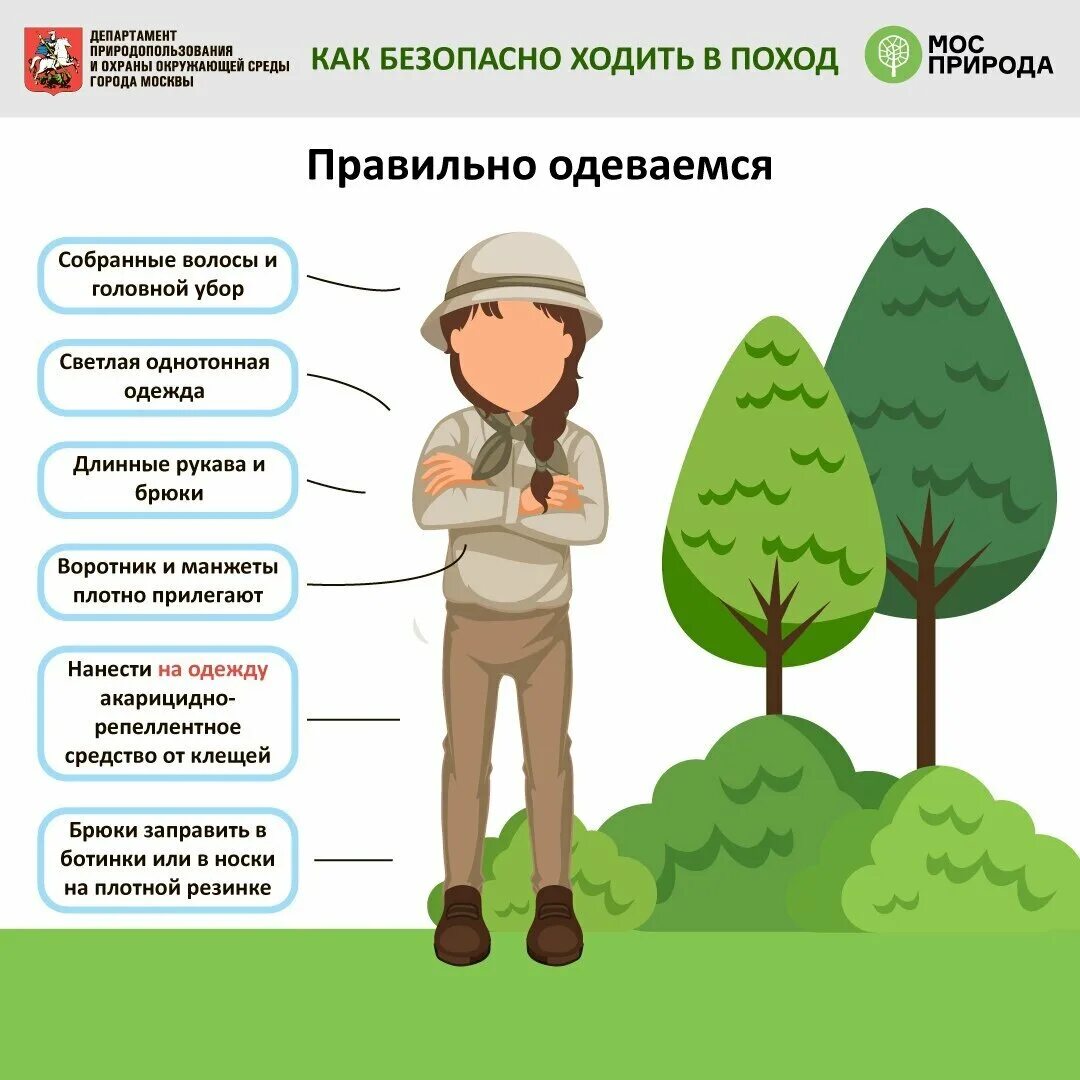 Когда можно идти в лес. Советы при походе в лес. безопасность в походе. советы для похода. правильная одежда для похода в лес.