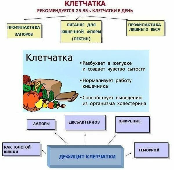 Источники пищевых волокон в питании. Клетчатка полезна для организма. Чем полезна клетчатка для организма. Клетчатка польза.