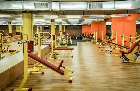 Fit обзор