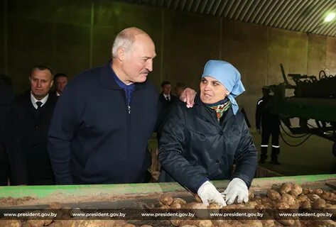 Лукашенко на ферме