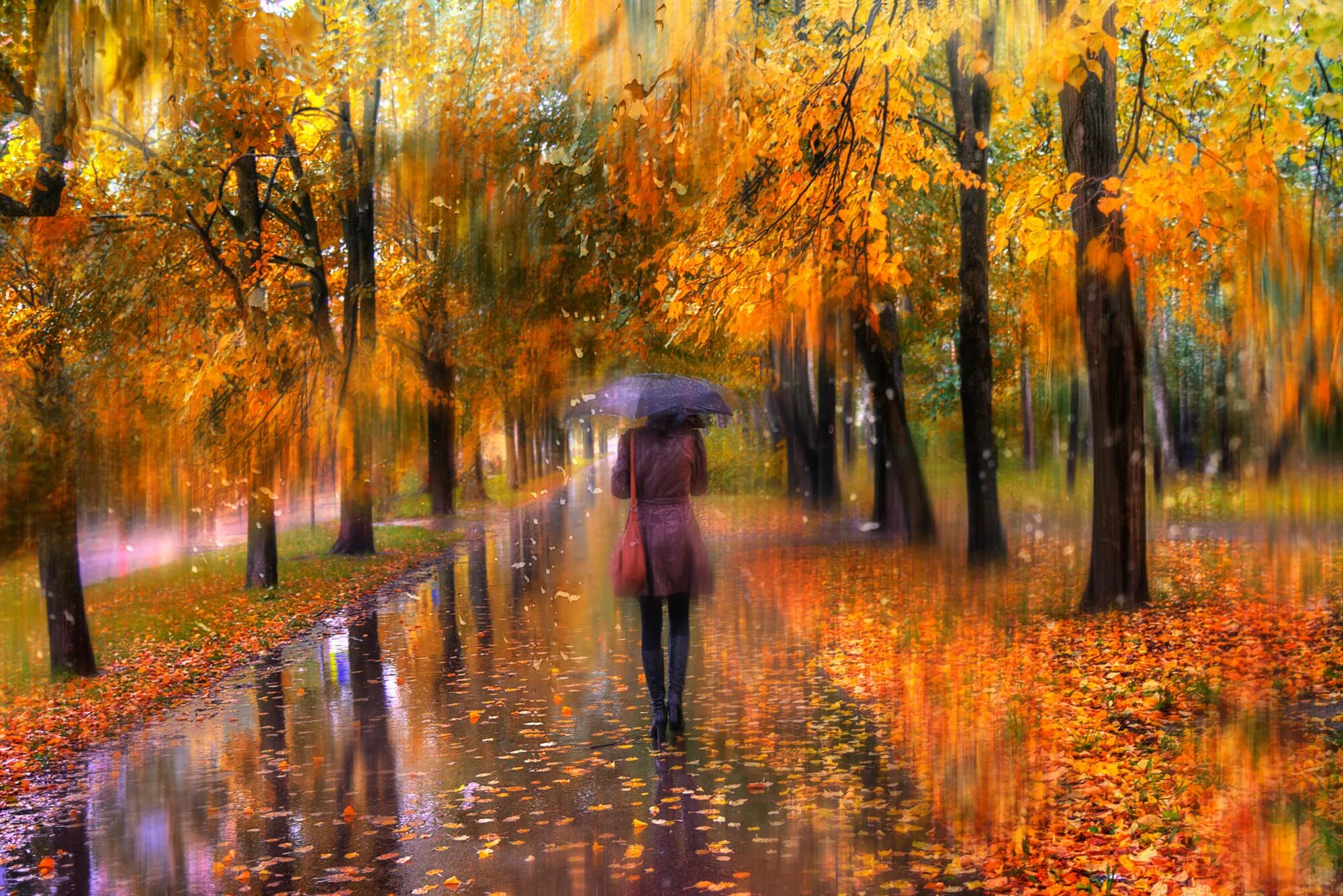 Осень парк дождь. Дожди листопад. Осень листья дождь. Осень в городе. Дожди листопад.