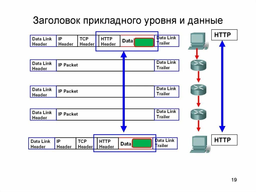 Прикладной уровень примеры. Протоколы прикладного уровня. Сетевые протоколы прикладного уровня. Сетевые и транспортные протоколы.