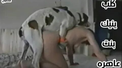 افلام سكس كلب ينيك بنت هايجه جدا ونيكة قوية جنس حيوانات - فحلاوي.