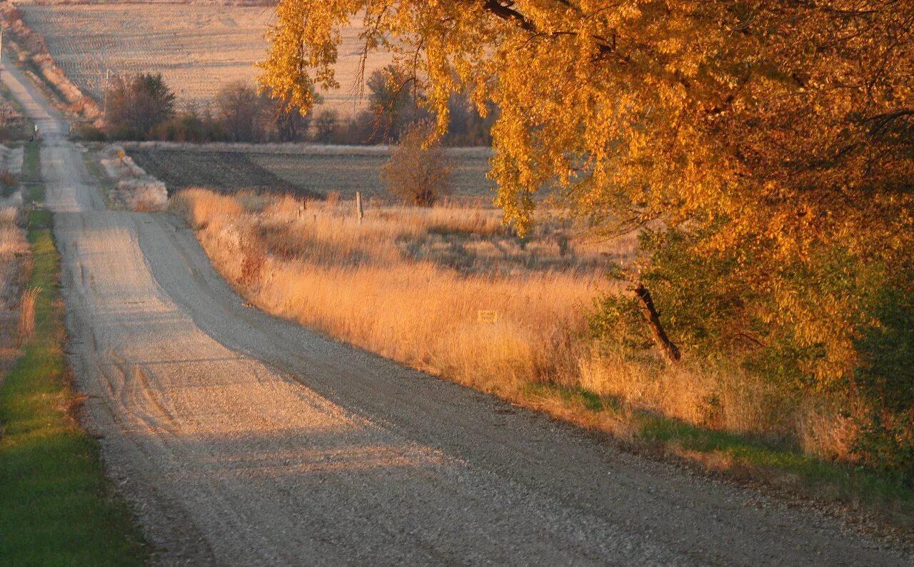 Кантри дорога. Кантри Роудс. Road in Country. Country Roads одежда.