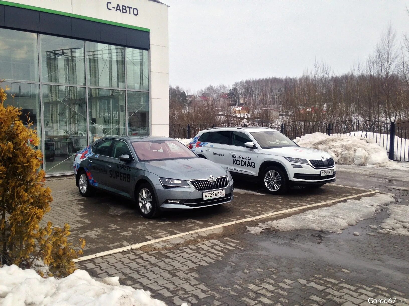 Купить салон в смоленске. Шкода Смоленск. Skoda Калининград. Шкода Смоленск машина.