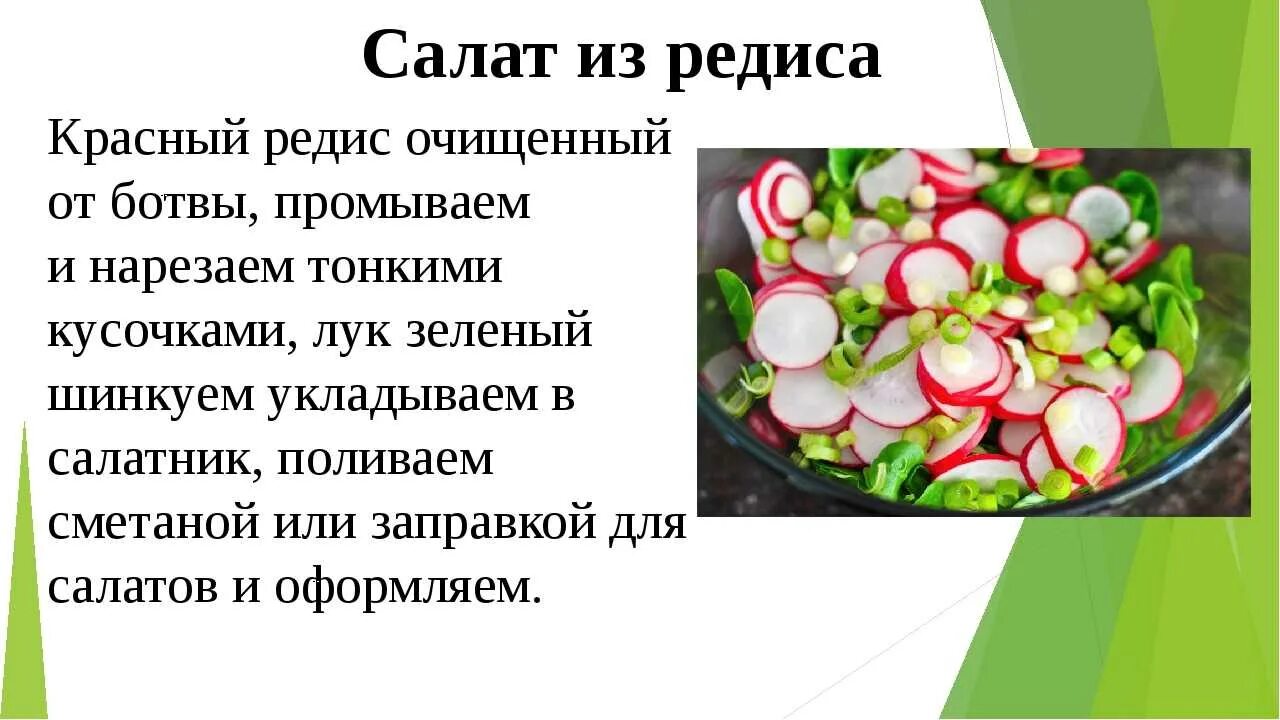 Технология приготовления салатов из овощей. Технология приготовления салата из редиса. Технологическая приготовления салата из редиса. Описание овощного салата. Презентация салата.