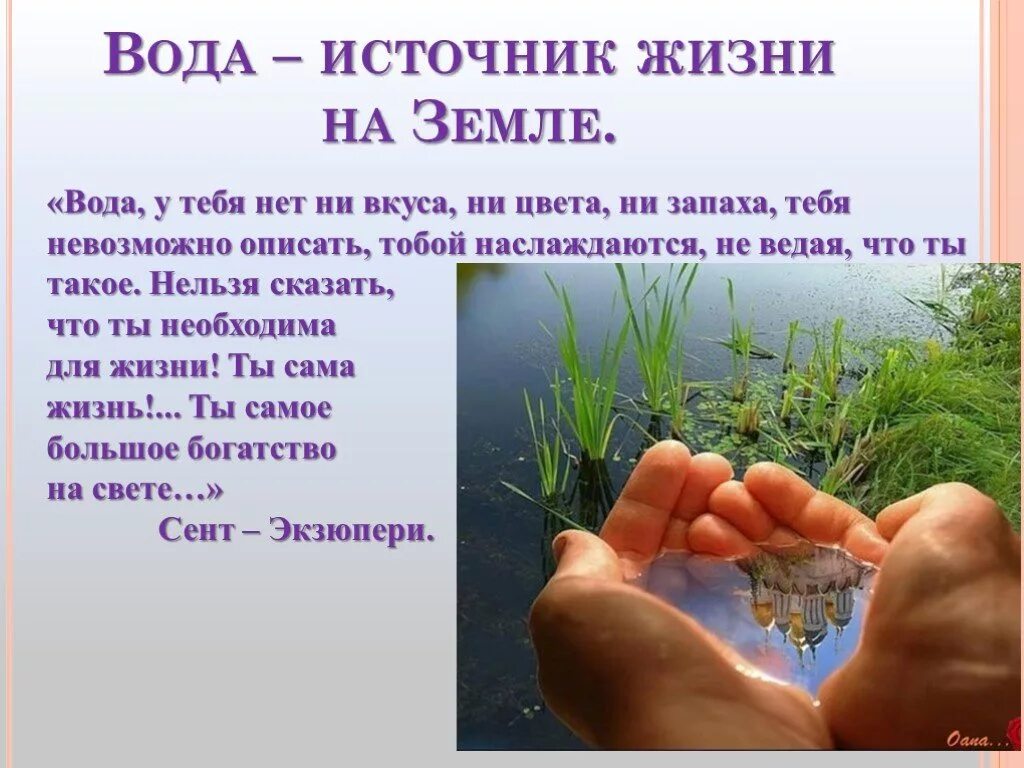 Вода источник жизни. Вода источник жизни на земле. Вода источник жизни. Проектная работа вода источник жизни. Вода главный источник жизни.
