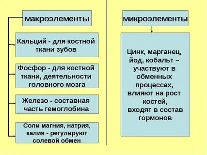 Биологическая роль макроэлементов