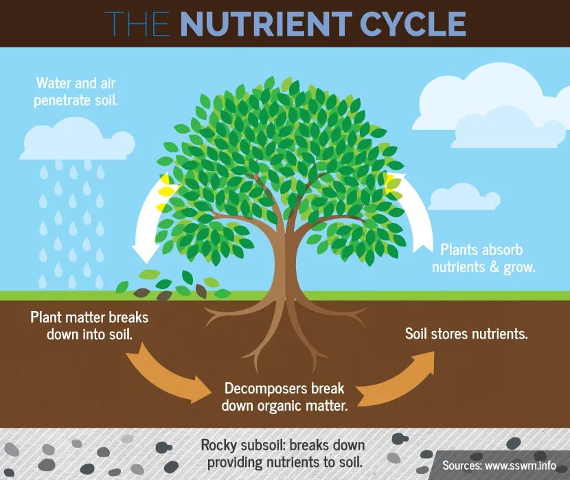 Plants nutrients. Soil Organic matter. Nutrient Soil. Nutrient Cycle.