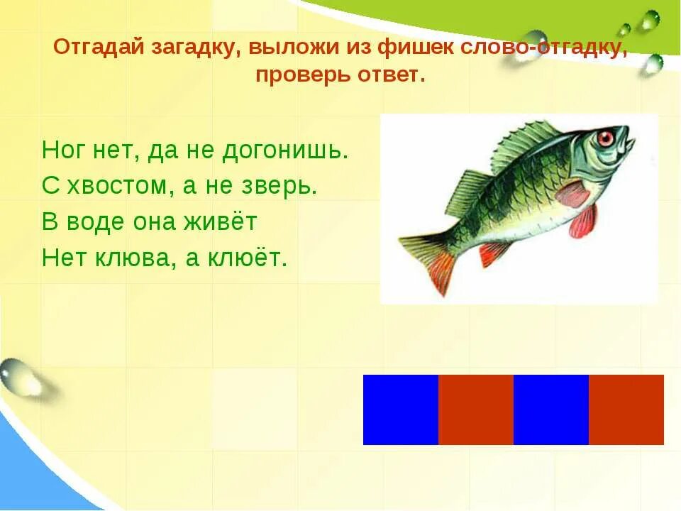 Отгадка спереди. Загадки. Загадки про рыб для дошкольников. Загадки на звук р. Загадки отгадки со звуком р.