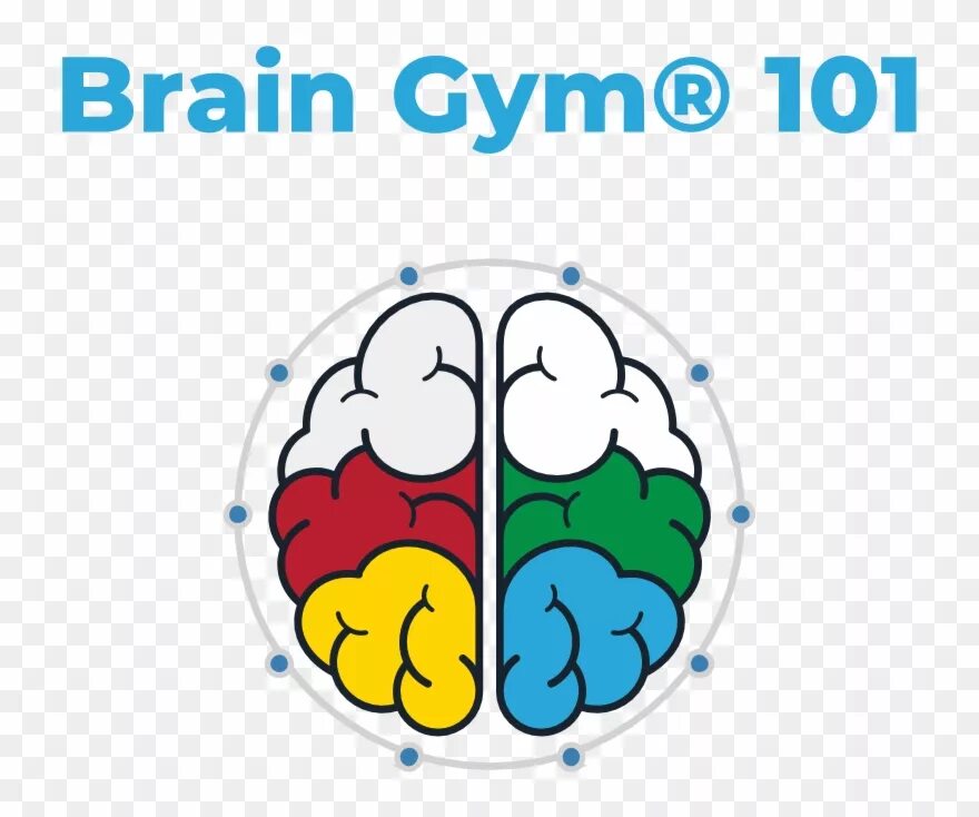 Brain name. Brain Gym. Brain Gym упражнения. Фасилитатор Brain Gym. Brain Gym тест.