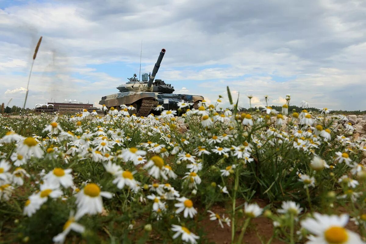 Доброе утро без войны. Танк в цветах. Танковое поле. Танк Ромашка.