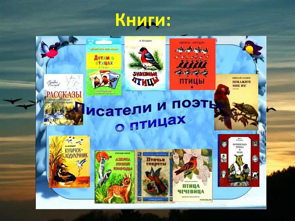 Произведения посвященные птицами. Книги о зимующих птицах для дошкольников. Книги о птивах дл, дошк. Книги о птицах для дошкольников. Книги о птицах для детей Художественные.