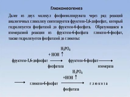 Дайте полную характеристику глюкозы с6н1206 используя пример