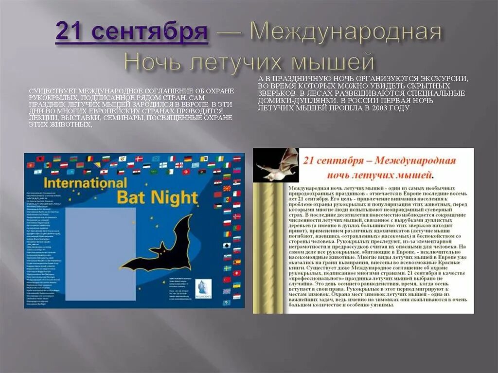Международная ночь летучих мышей 20 сентября. Международная ночь летучих мышей.