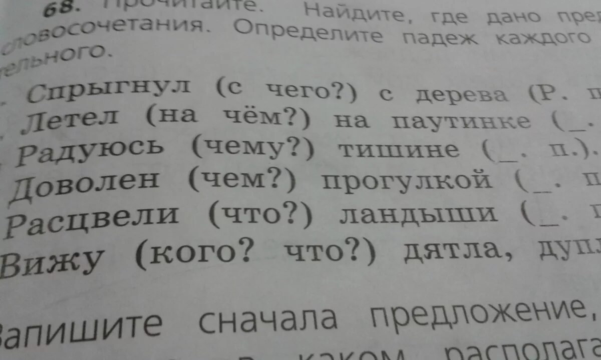 Полетел падеж. Летел на паутинке это словосочетание или предложение. Летел на чём на паутинке какой падеж.