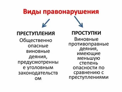 Какие правонарушения может вынести