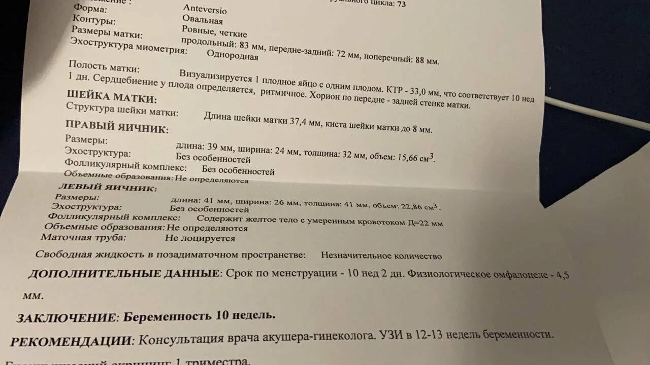 14 недель отзывы. Омфалоцеле у плода на 10 неделе. Омфалоцеле у плода на 10 неделе физиологическое.