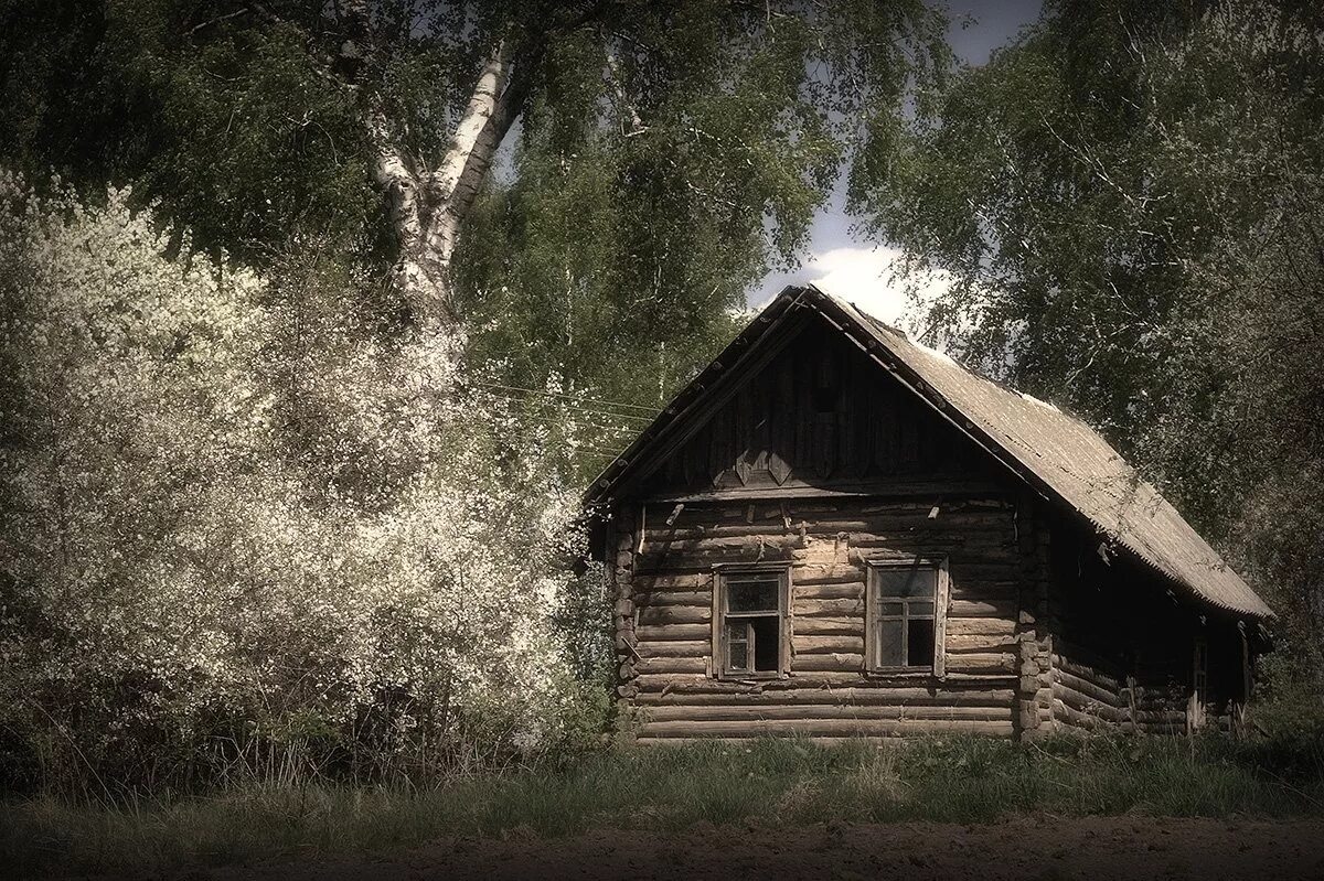 Изба в деревне. Старый домик. Деревенская изба. Избушка в деревне.