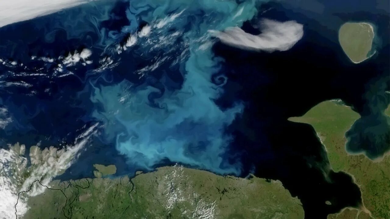 Фитопланктон Северного Ледовитого океана. Моря Северного Ледовитого океана со спутника. Ледовитый океан из космоса. Баренцево море со спутника. Бассейн океана баренцево