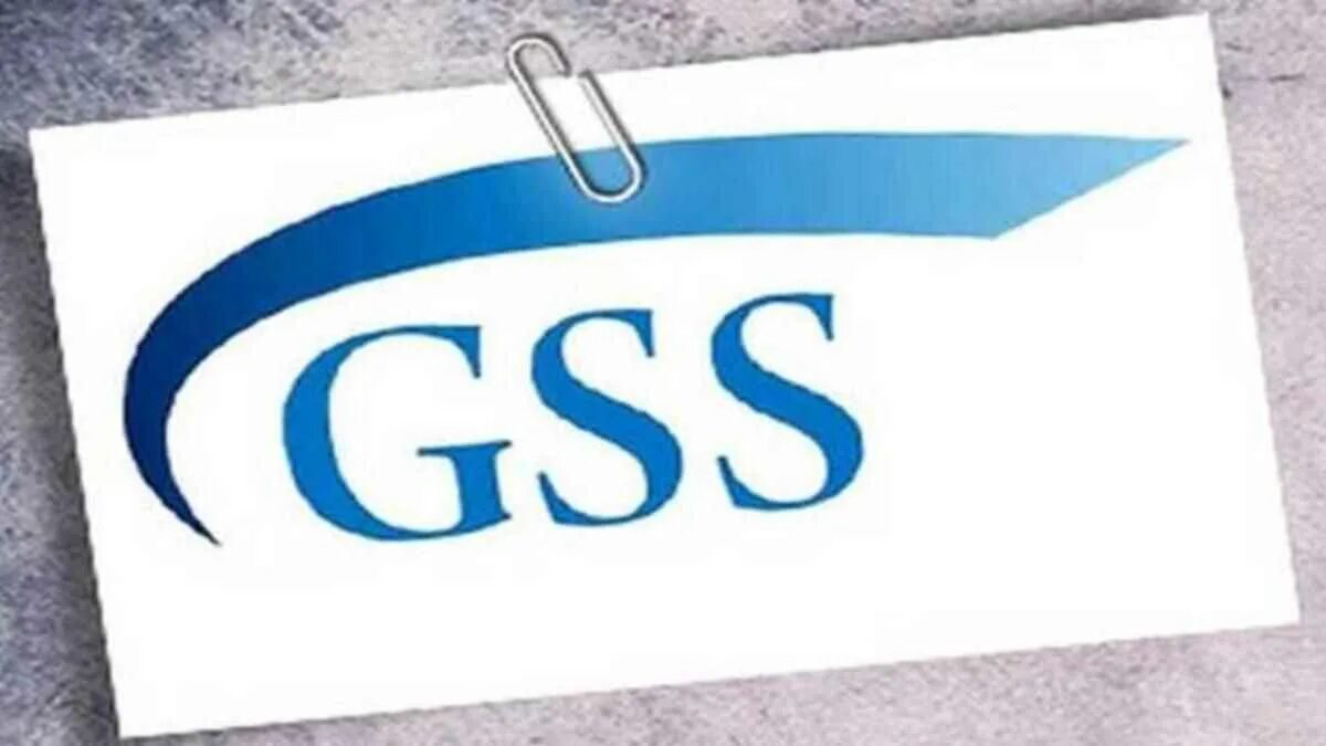 Gss. Gss security md. gss аватарка. фарма gss.