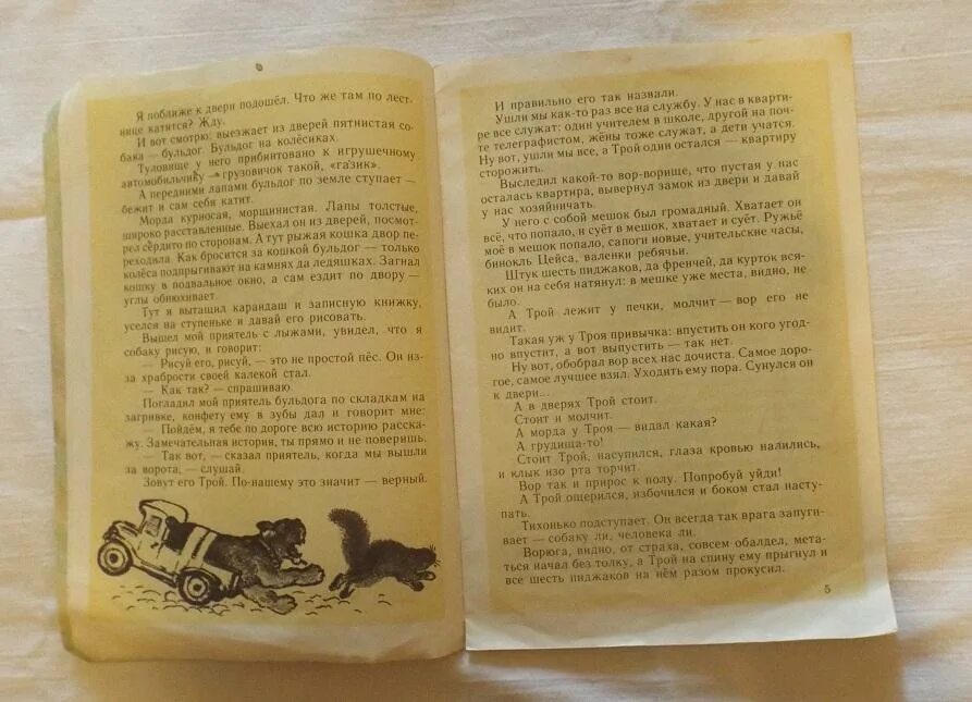 Книга я не буду верным. Рассказ верный Трой. Чарушин книга верный Трой. Чарушин верный Трой иллюстрации.