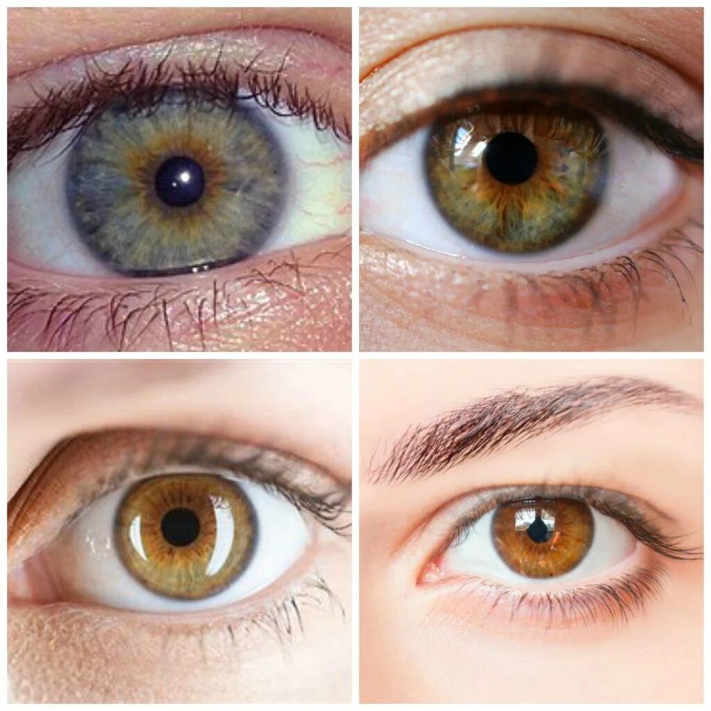 Глаза человека меняют цвет. Хейзел цвет глаз. Hazel цвет глаз. Зелёный Хазел цвет глаз. Цвет глаз Hazel Eyes.