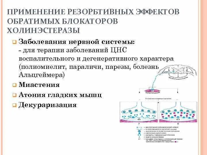 Эффекты холинорецепторов. Мускариночувствительные холинорецепторы. Локализация холинорецепторов фармакология. Блокаторы м-холинорецепторов. Терапевтический эффект ингибиторов холинэстеразы.