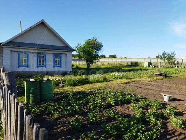 Новый буян самарская область купить. Поселок в Самарской области новый Буян. Лесной посёлок новый Буян. Продажа дома Молодёжная 2 новый Буян. Показать фотографии дома за 6,5 миллионов на новом Буяне.