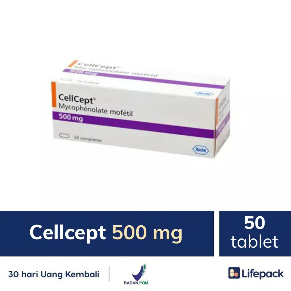 Селлсепт 500. Селлсепт 500 мг. Микофенолат мофетил Селлсепт. Cellcept 500мг. Cellcept 500 MG.